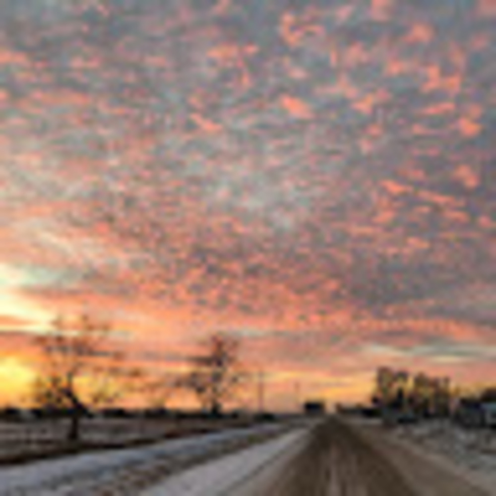 Meet your Posher, Carmen